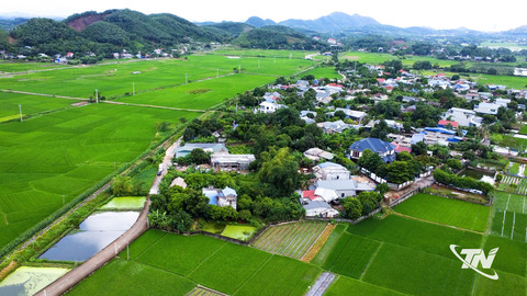 Hướng đến nền sản xuất an toàn, bền vững