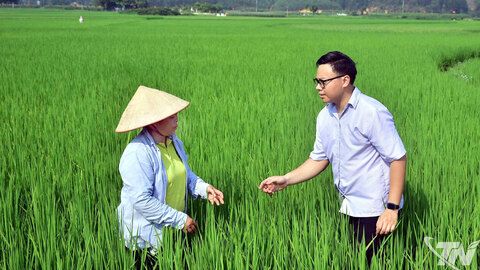 Sản xuất nông nghiệp thích ứng với biến đổi khí hậu