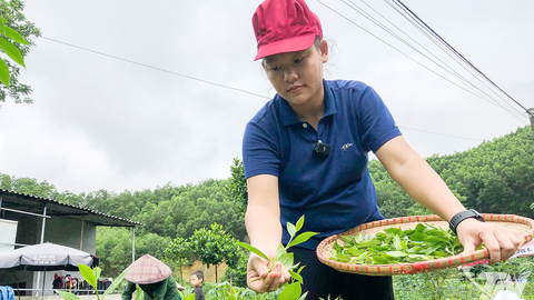 Đổi mới sáng tạo và chuyển đổi số: Cơ hội cho thế hệ trẻ