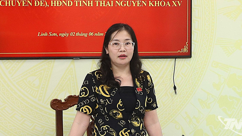 Ban Dân tộc HĐND tỉnh khảo sát một số nội dung tại phường Linh Sơn