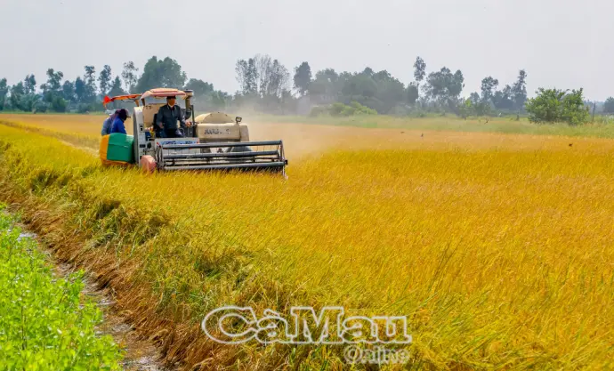Chung sức xây dựng Vĩnh Lộc đạt chuẩn nông thôn mới nâng cao