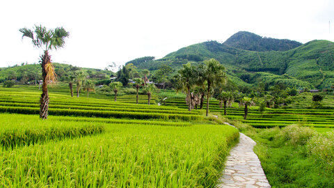 Hơn 170 nghìn kg hạt giống được kiểm dịch, đảm bảo đủ điều kiện lưu thông