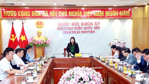 Bảo đảm tiến độ triển khai công trình khẩn cấp Tuyến đê Hữu Cầu