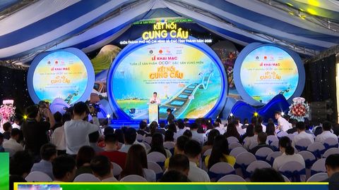 Thái Nguyên lan tỏa thương hiệu OCOP tại Tuần lễ kết nối cung cầu năm 2025