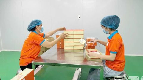 Hành trình vươn tới OCOP 5 sao