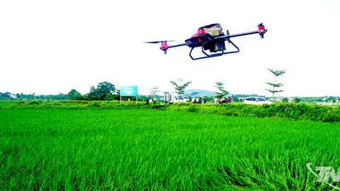 Hợp tác xã nông nghiệp đổi mới để hội nhập