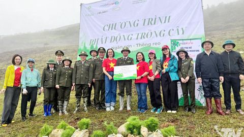 Trao gần 55.000 cây giống phủ xanh đất trống, đồi trọc