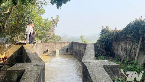 Chủ động nguồn nước cho sản xuất vụ xuân