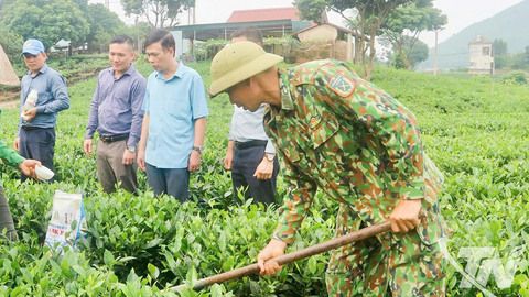 Hướng đi bền vững từ nông nghiệp sinh thái