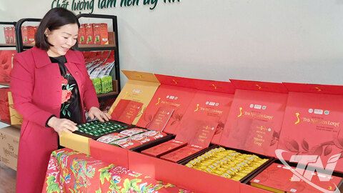 Tăng cường hỗ trợ hoạt động khuyến công