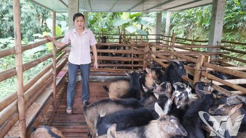 Khát vọng thoát nghèo ở Yên Phong