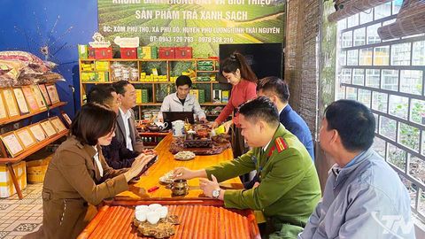 Gần 1.000 hợp tác xã nông nghiệp hoạt động ổn định