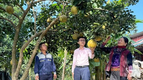 Nguồn vốn chính sách thúc đẩy sản xuất