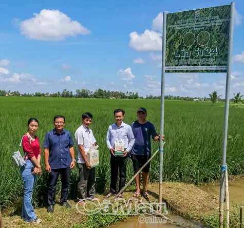 Phường Láng Tròn: Hướng tới đô thị sinh thái, hiện đại, năng động