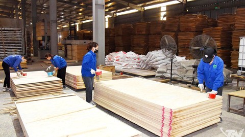 Doanh nghiệp thích ứng để giữ nhịp tăng trưởng