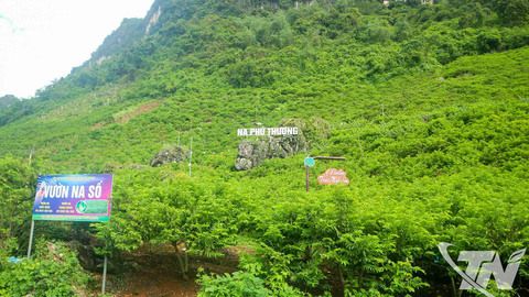 Mở rộng sản xuất nông nghiệp hữu cơ, tuần hoàn