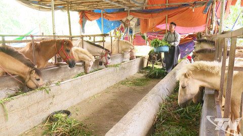 Bằng Thành thúc đẩy phát triển kinh tế bền vững