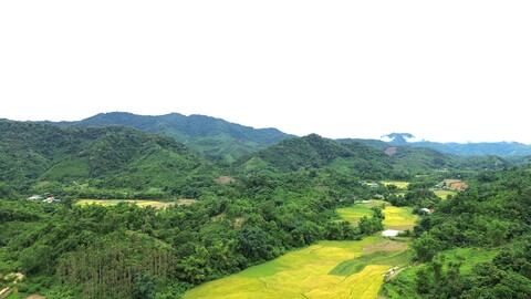 Sinh kế bền vững dưới tán rừng