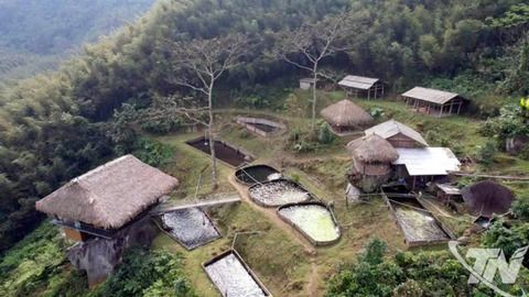 Khát vọng trên núi Hoa