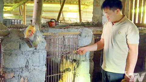 Khởi nghiệp khác biệt với cầy vòi mốc