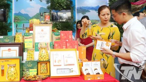 Nâng tầm sản phẩm, đưa thương hiệu vươn xa