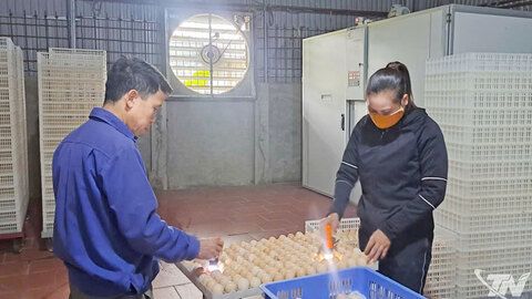 Thành công nhờ dám nghĩ, dám làm