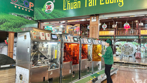 Chuyển đổi xanh cho thương hiệu chè Thái