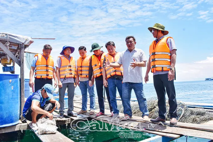 Bảo tồn và phát triển hệ sinh thái biển đảo Hòn Chuối