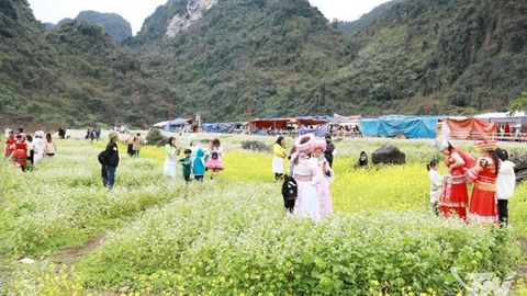 Phát triển du lịch sinh thái