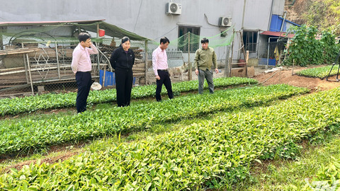 Nguồn vốn ưu đãi tạo sinh kế bền vững