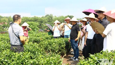 Du lịch bền vững - hướng đi tất yếu thời hội nhập