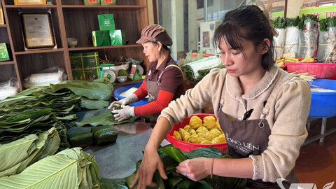 Đồng hành đưa sản phẩm OCOP vươn xa