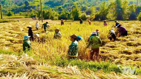 Chuyện làm giàu trên đất nghèo