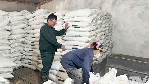 Cung cấp khoảng 200 nghìn tấn thức ăn chăn nuôi