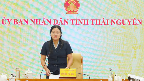 Đánh giá tiến độ thu tiền sử dụng đất năm 2026 tại các địa phương trọng điểm
