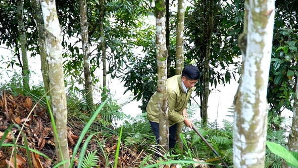 Trưởng thôn gương mẫu “nói đi đôi với làm”