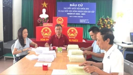 Thẩm quyền và cách thức xác định khu vực bỏ phiếu