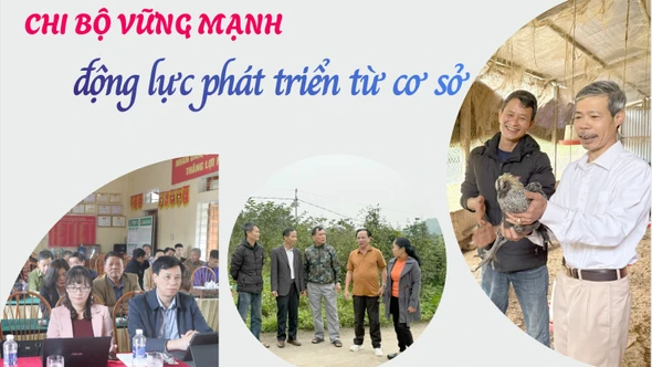 Chi bộ vững mạnh - động lực phát triển từ cơ sở
