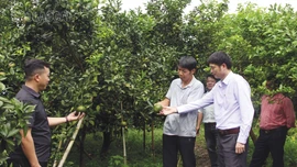 Đại hội sẽ đề ra những quyết sách phát triển kinh tế vùng nông thôn, miền núi