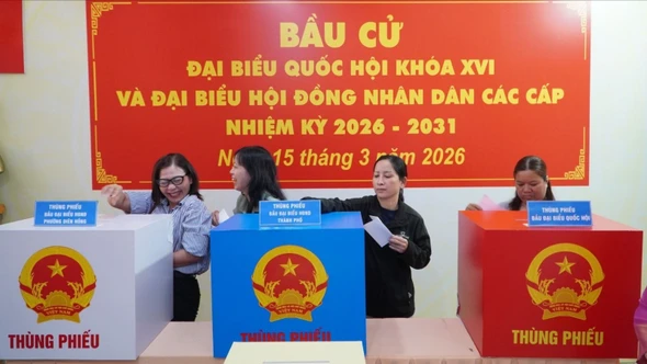 Những điều cử tri cần lưu ý khi tham gia bỏ phiếu