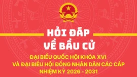 Vận động bầu cử và các hình thức được phép