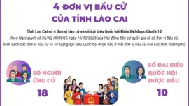 4 đơn vị bầu cử của tỉnh Lào Cai