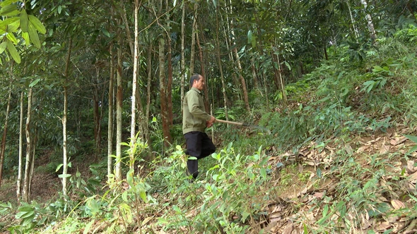 Đảng viên đi đầu trong phát triển kinh tế ở Chiềng Ken