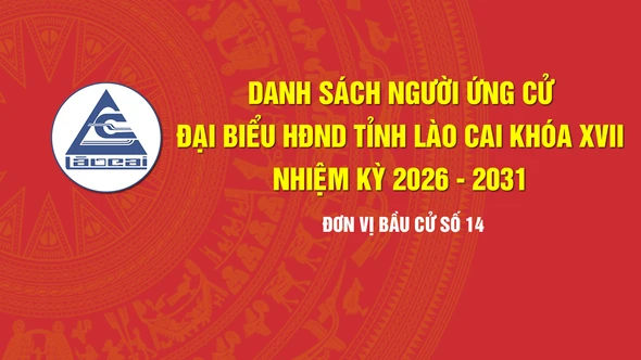 [Infographic] Tiểu sử tóm tắt những người ứng cử đại biểu HĐND tỉnh Lào Cai khóa XVII, nhiệm kỳ 2026 - 2031 (Đơn vị bầu cử số 14)