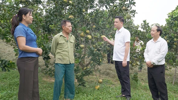 Những đảng viên tiên phong phát triển kinh tế tư nhân ở Yên Thành