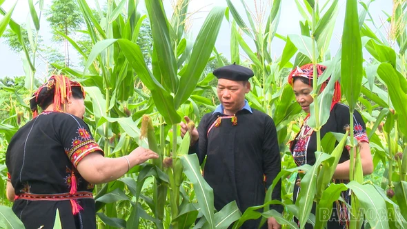 Trưởng thôn gương mẫu ở Khe Mạ