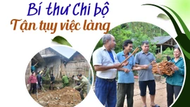 Bí thư Chi bộ tận tụy việc làng