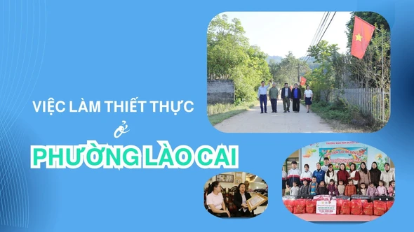 Việc làm thiết thực ở phường Lào Cai