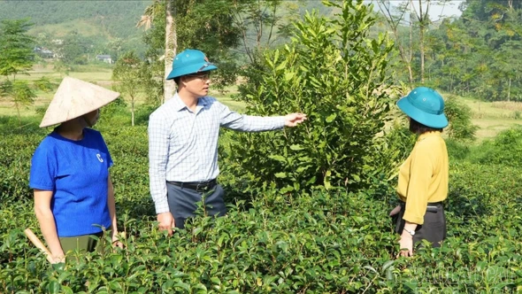 Bảo Yên: Lan tỏa nhiều mô hình “Dân vận khéo” thiết thực, hiệu quả