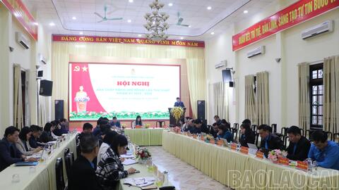 Liên đoàn Lao động tỉnh tổ chức Hội nghị Ban Chấp hành lần thứ I (mở rộng)
